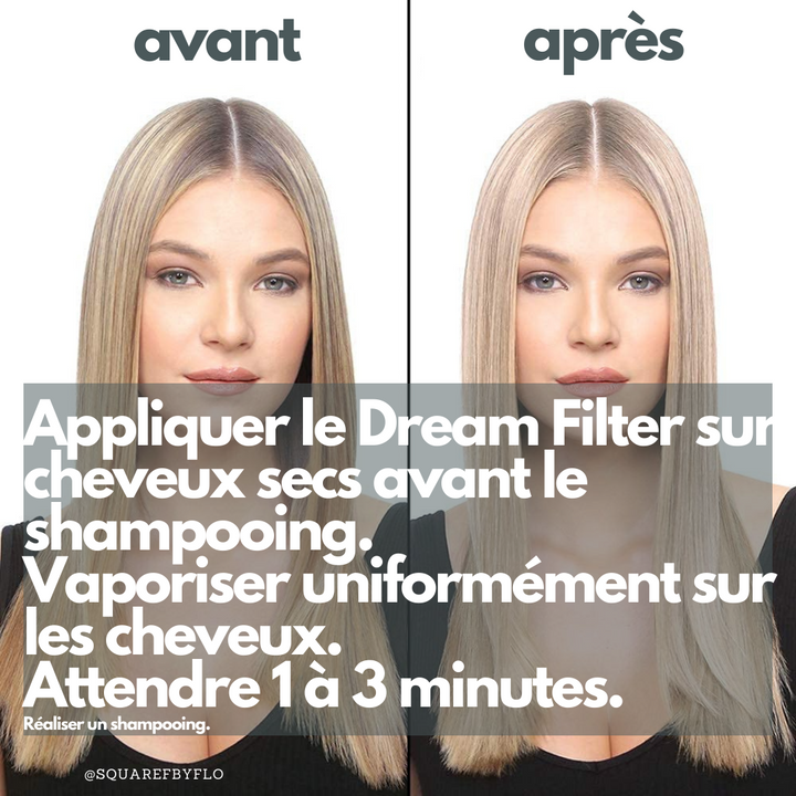 Dream Filter - Traitement Pré-Shampoing Détoxifiant