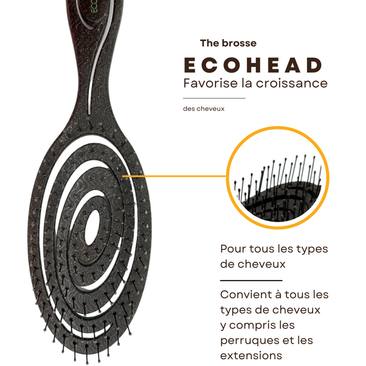 EcoBrosse